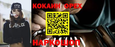 стаф Новозыбков