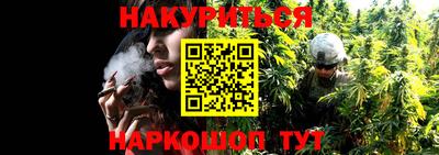 стаф Новозыбков
