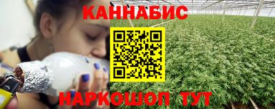 стаф Новозыбков