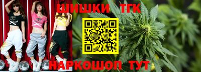 индика Новокубанск