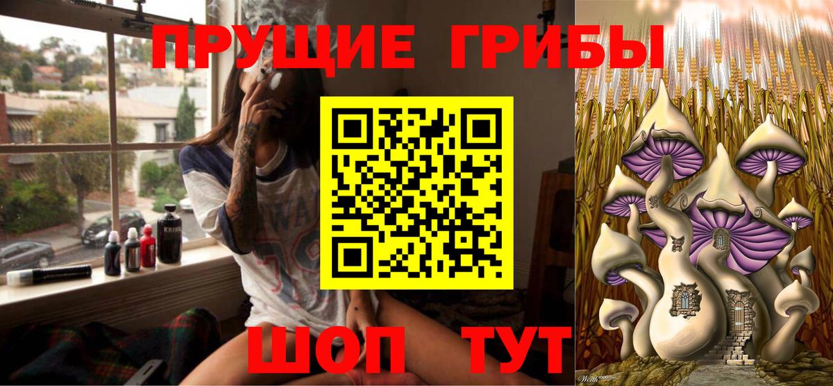 Галлюциногенные грибы мицелий Томск