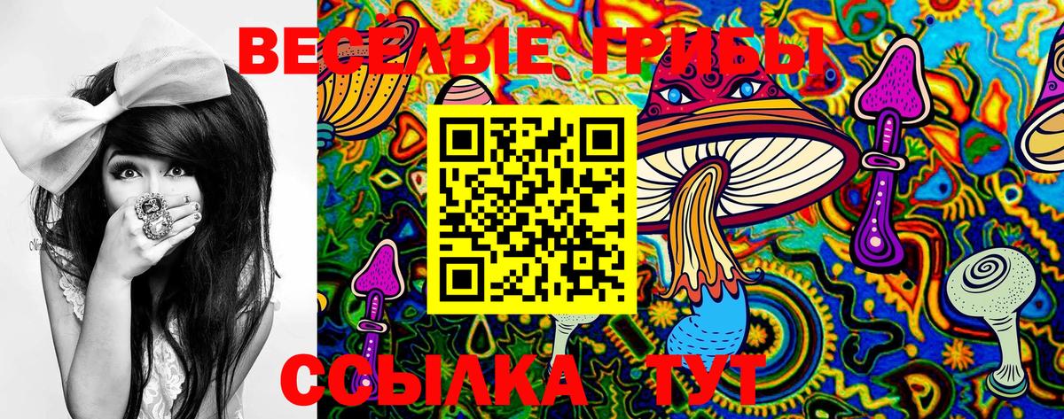 Томск  Псилоцибиновые грибы MAGIC MUSHROOMS  Вход с VPN 