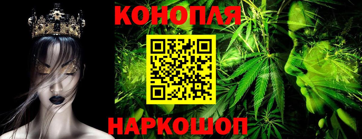 Бошки Шишки тримм Томск